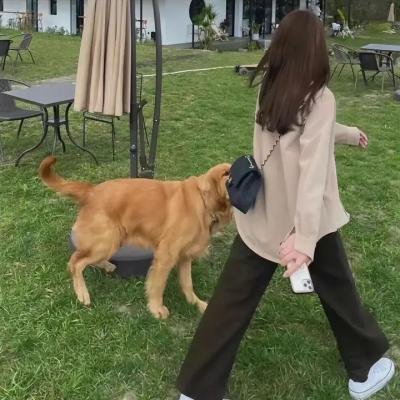 电光滚石