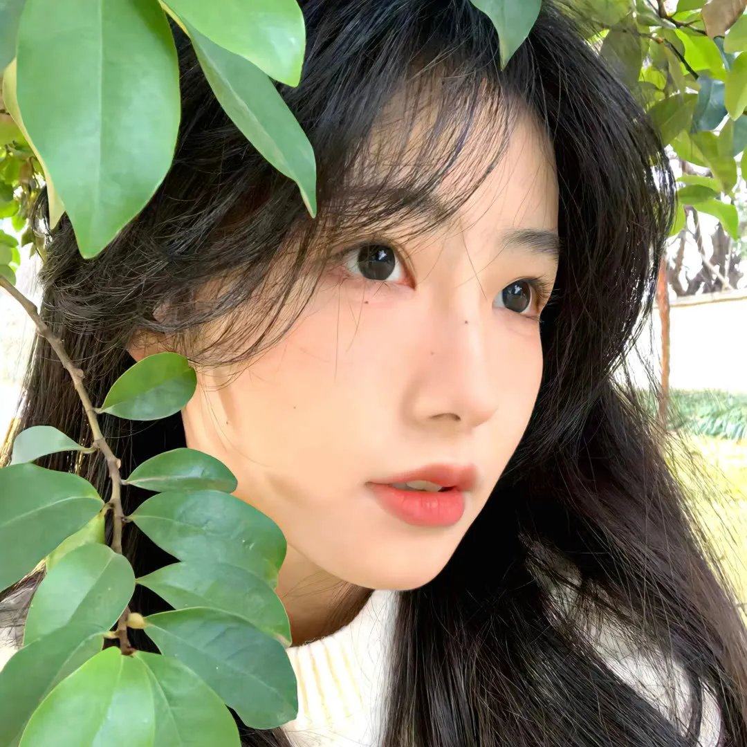 狐之歌